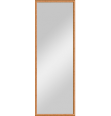 Зеркало Evoform Definite BY 0705 48x138 вишня