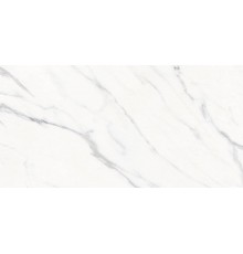 Керамогранит Staro Appolo White Carving 60x120