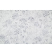Обои Home color Sibir PL72155-14