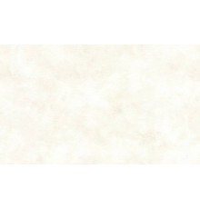 Обои Акцент Штукатурка 70445-11