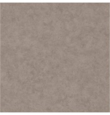 Обои Caselio Beton 101481899