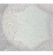 Обои Euro Decor Samui 9067-04