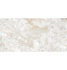 Керамогранит ABSOLUT GRES Breccia Natural 60x120 полированный