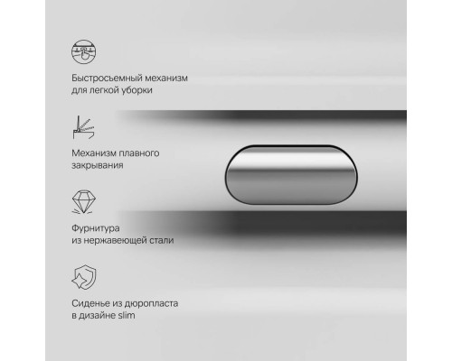 C8F1700MWSC Унитаз подвесной FlashClean с сиденьем микролифт, матовый C8F1700MWSC Унитаз подвесной FlashClean с сиденьем микролифт, матовый