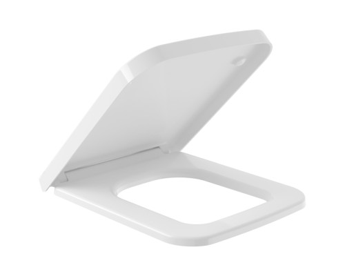 VilleroyBoch Finion Сидение с крышкой, SoftClose, цвет: белый. 9M88S1R1