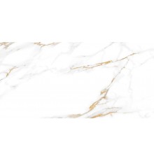 Плитка настенная Alma Ceramica Dublin TWU09DBL004 глянцевая 24,9x50 белая
