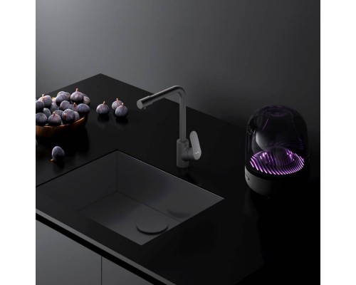 F8005722 Смеситель для кухни с каналом для питьевой воды, L-излив, черный F8005722 Смеситель для кухни с каналом для питьевой воды, L-излив, черный