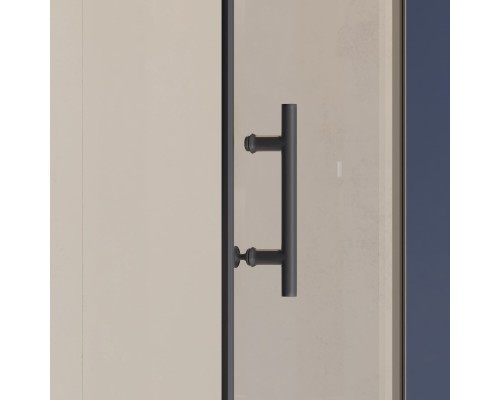 Душевая дверь RGW HO-011B 600