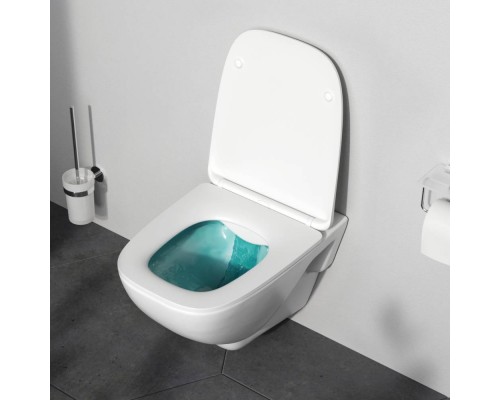 C851701SC Унитаз подвесной FlashClean с сиденьем микролифт C851701SC Унитаз подвесной FlashClean с сиденьем микролифт