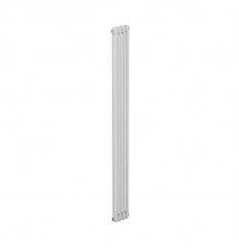 Радиатор трубчатый RIFAR TUBOG Ventil 2180 DV1 04 секц. нижн.