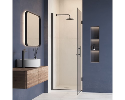 Душевая дверь RGW HO-011B 600