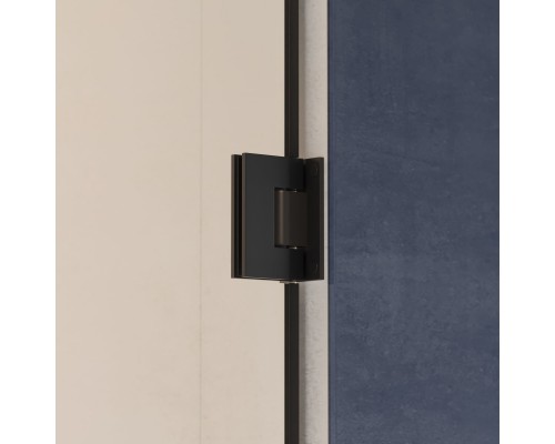 Душевая дверь RGW HO-011B 600