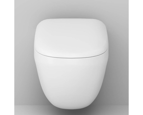 C301700WH Унитаз подвесной безободковый FlashClean, без сиденья C301700WH Унитаз подвесной безободковый FlashClean, без сиденья