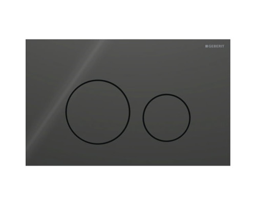 Geberit Sigma40 Клавиша для двойного смыва, круглая: Черный. 115.628.SJ.1