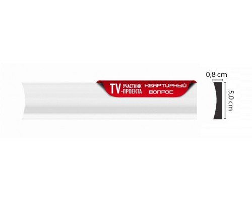 Молдинг гладкий DECOMASTER D045ДМ (50*8*2000мм)