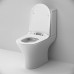 C748600SC Унитаз-компакт FlashClean с сиденьем микролифт