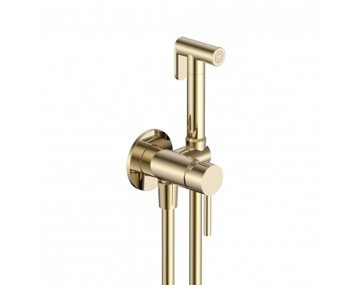 AQM6217BG Siena Комплект гигиенического душа (скрытый монтаж, латунная лейка), золото шлифованое AQM6217BG