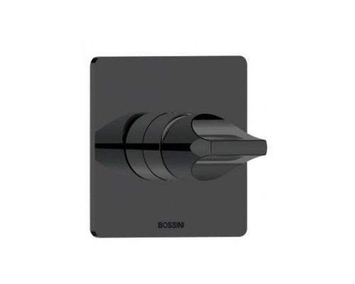 Bossini Apice Смеситель для душа, встраиваемый, цвет: черный матовый. Z00504.073