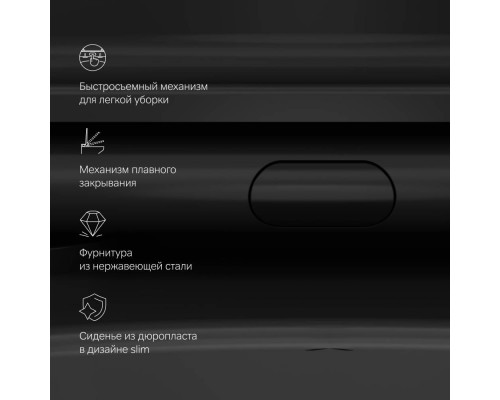 C8F1700MBSC Унитаз подвесной FlashClean с сиденьем микролифт, матовый
