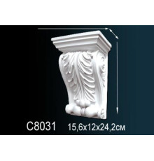 Консоль C8031