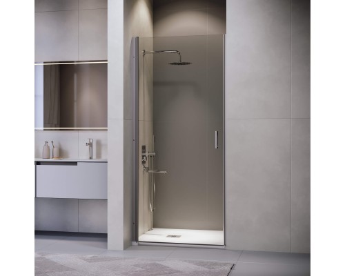 Душевая дверь RGW LE-003Gr 900