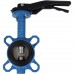 Затвор поворотно-дисковый Tecofi VPI4449 DN 50 PN 16 EP из чугуна (VPI4449-02EP0050)