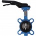Затвор поворотно-дисковый Tecofi VPI4449 DN 50 PN 16 EP из чугуна (VPI4449-02EP0050)