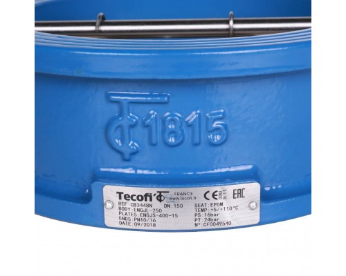 Клапан обратный Tecofi Ду150 Ру16 2/ств межфланцевый из чугуна (CB3448N-EP0150) Клапан обратный Tecofi Ду150 Ру16 2/ств межфланцевый из чугуна (CB3448N-EP0150)