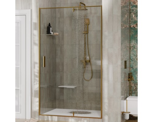 Душевая дверь в нишу Wasserkraft Aisch 55P 55P12