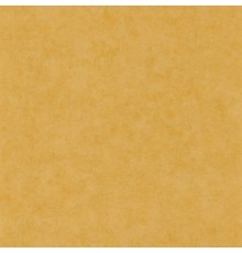 Обои Caselio Beton 101482000