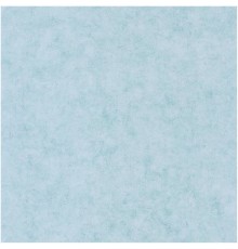 Обои Caselio Beton 101486000