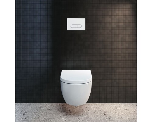 Ideal Standard Prosys Oleas M1 Механическая панель смыва, двойной смыв, цвет: белый. R0115AC Ideal Standard Prosys Oleas M1 Механическая панель смыва, двойной смыв, цвет: белый. R0115AC