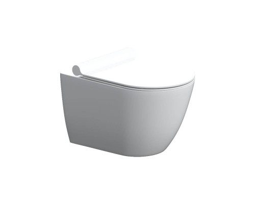 DX36C1701SC Унитаз подвесной без ободка с сиденьем микролифт DX36C1701SC Унитаз подвесной без ободка с сиденьем микролифт