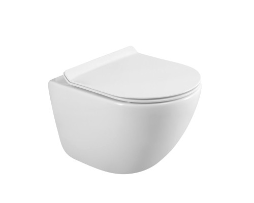 Унитаз подвесной BelBagno Amanda BB051CHR BB076SC с микролифтом, безободковый