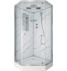 Душевая кабина Niagara Luxe 7702DM 100х100, серебро