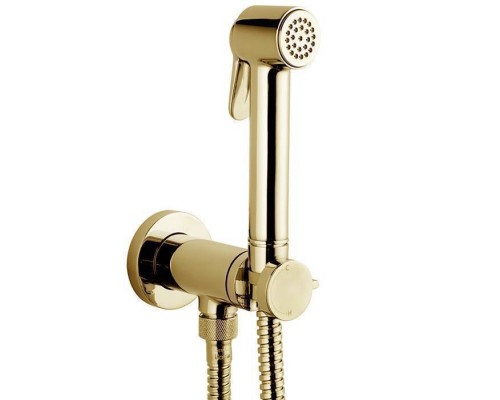 Bossini Paloma Brass Комплект гигиенический: прогрессивный смеситель,лейка с клапаном подачи воды, шланг из латуни дв. фальцевания1250 мм, золото. E37005B.021 Bossini Paloma Brass Комплект гигиенический: прогрессивный смеситель,лейка с клапаном подачи воды, шланг из латуни дв. фальцевания1250 мм, золото. E37005B.021