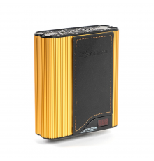 Стабилизатор напряжения БАСТИОН TEPLOCOM ST-555-И Western gold black 579