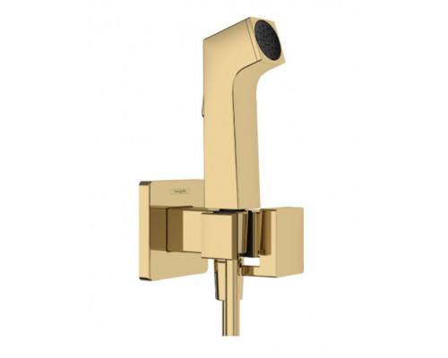 HG 29 233 990 Комплект гигиенического душа (внешняя монтажная часть)