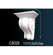 Консоль C8029