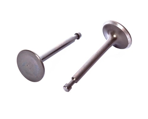 Клапаны для двигателя 170F(комплект) (870452)