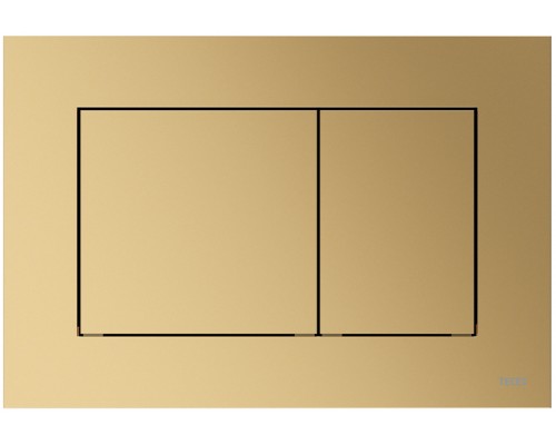 TECEnow 9240419 Панель смыва, 2 объёма, 220х150х5 мм, пластик, латунь металлик 9240419