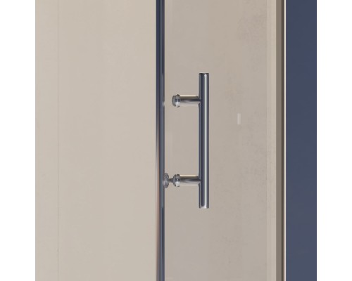 Душевая дверь RGW HO-011 900