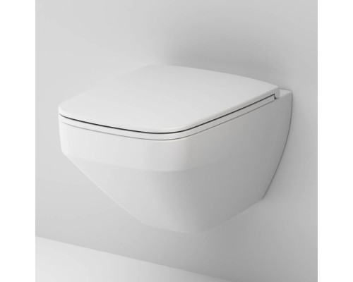 C50A1700MWSC Унитаз подвесной FlashClean с сиденьем микролифт, матовый C50A1700MWSC Унитаз подвесной FlashClean с сиденьем микролифт, матовый