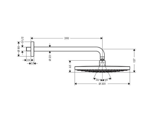 Hansgrohe Raindance Select S 300 Верхний душ Oslash;30,1см, настенный, цвет: хром. 27378400 Hansgrohe Raindance Select S 300 Верхний душ Oslash;30,1см, настенный, цвет: хром. 27378400
