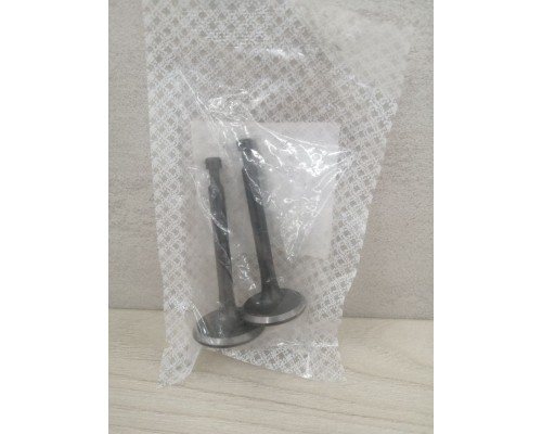 Клапаны для двигателя 170F(комплект) (870452)