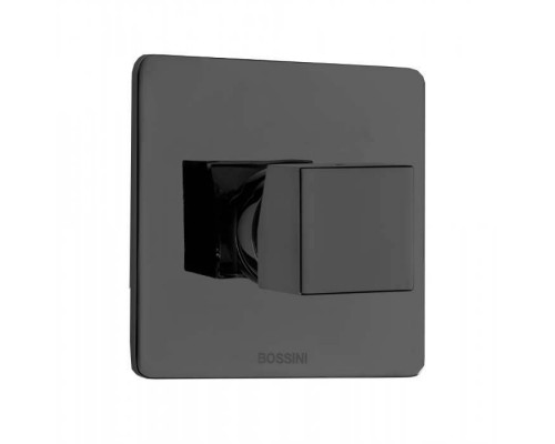 Bossini Cube Смеситель для душа на 1 выход , цвет: черный матовый . Z00007, Z00064.073 Bossini Cube Смеситель для душа на 1 выход , цвет: черный матовый . Z00007, Z00064.073