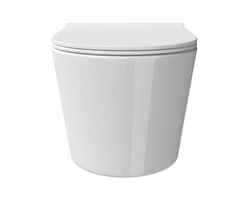 Alice Form Унитаз 50х35см., подвесной, безободковый, с сиденьем и крышкой с микролифтом, с набором для крепления, цвет: белый глянцевый. 22300101SET