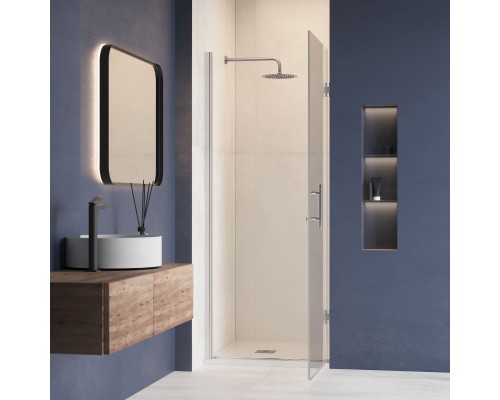 Душевая дверь RGW HO-011 900