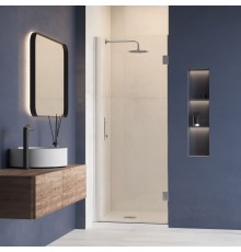Душевая дверь RGW HO-011 900