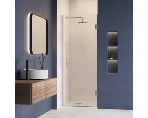 Душевая дверь RGW HO-011 900